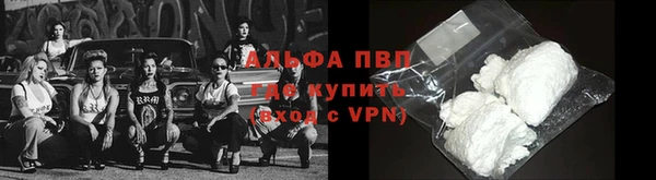гидра Магас