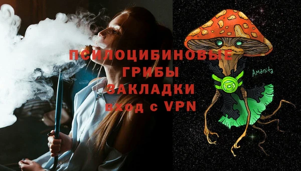 амф Майский