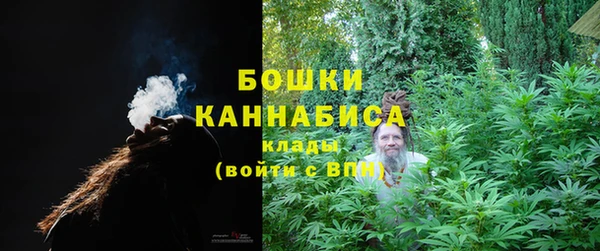 амф Майский