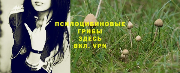 амф Майский