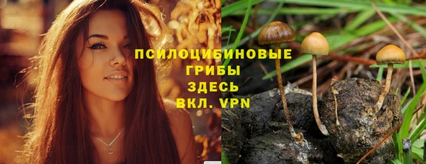 гидра Магас