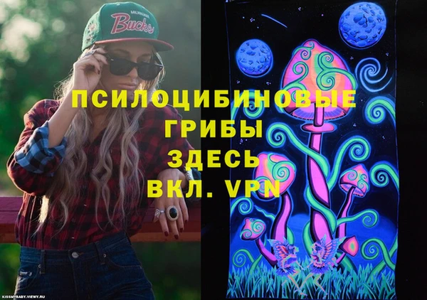 гидра Магас