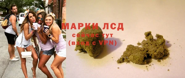 гидра Магас