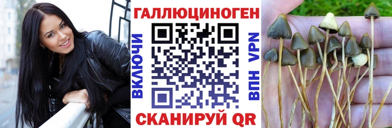 Галлюциногенные грибы Psilocybe  наркошоп  Черепаново 